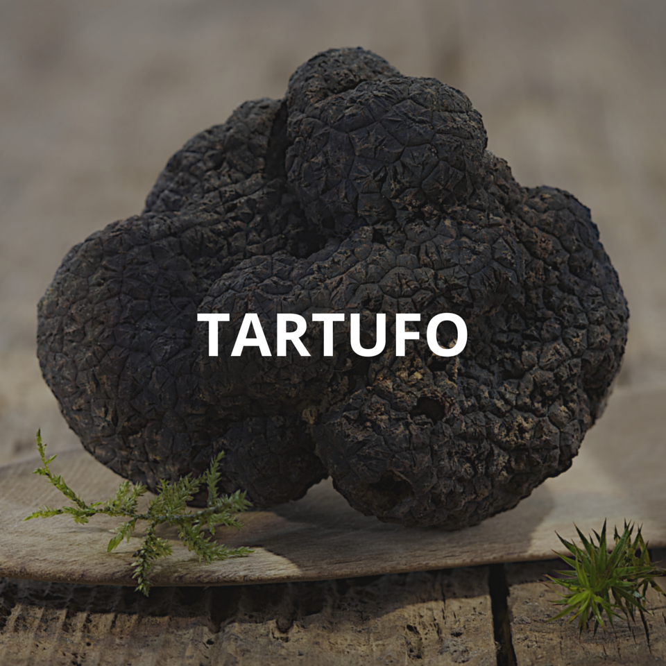 tartufo
